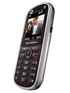 Best available price of Motorola WX288 in Georgia