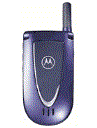 Best available price of Motorola V66i in Georgia